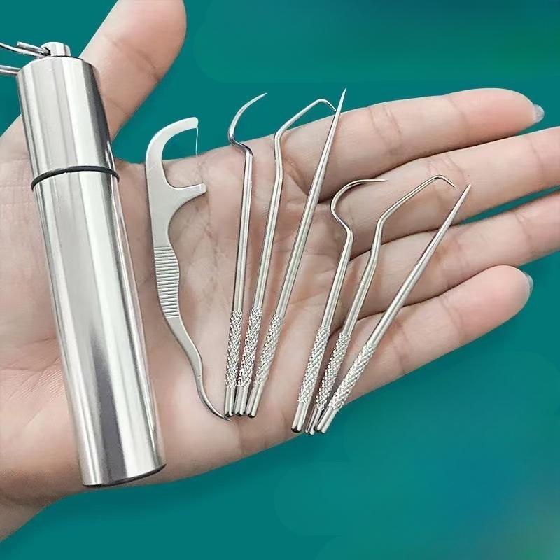 Stainless Steel Toothpick Set with Storage Box, 7 Counts set Portable Reusable Toothpick Set for Christmas Gift, Oral Care Tool for Home & Travel