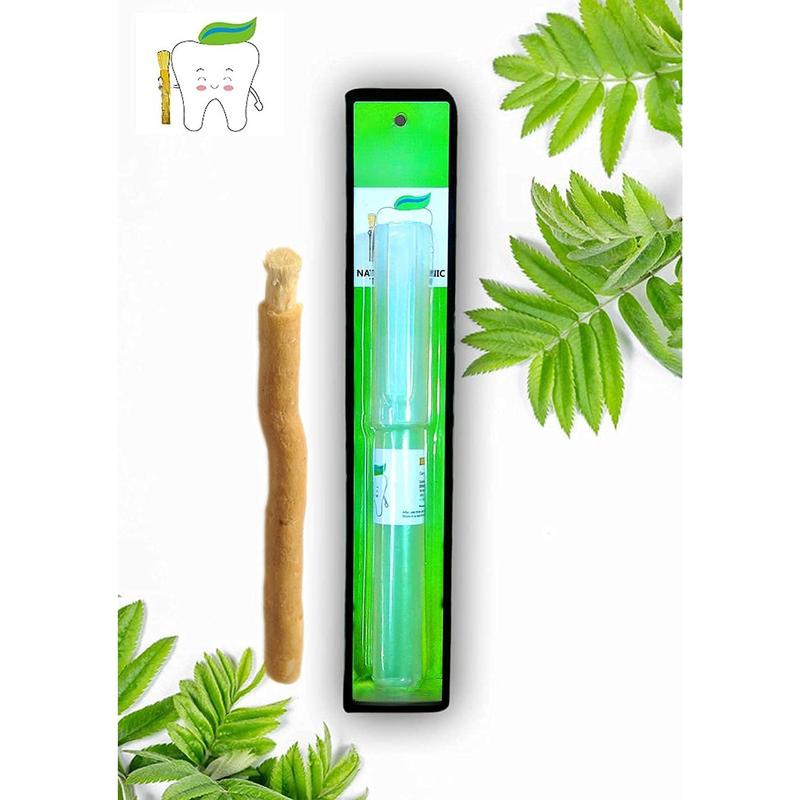 Miswak Sticks for Teeth | Sewak Natural Toothbrush | Siwak Organic Wooden Tooth Brush Oral Teeth Whitener with Holder | Vacuum Sealed (1 Pack)