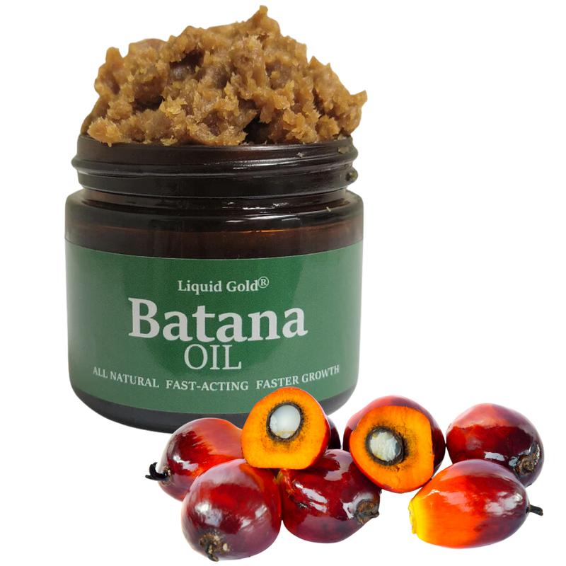 Liquid Gold 100% Unrefined Raw Batana Oil from Honduras for Thicker Fuller Healthy Hair Glass Jar 2oz