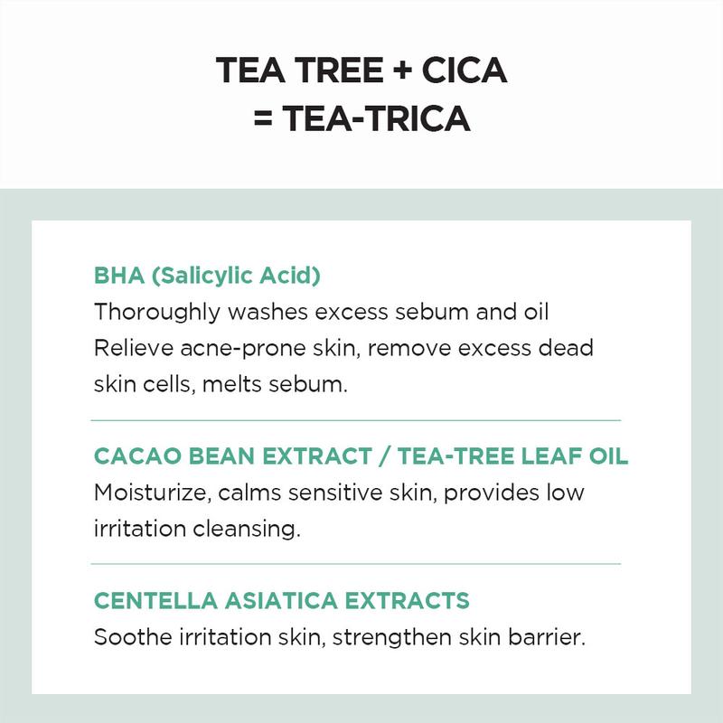 [SKIN1004 Official Shop] Madagascar Centella Tea-Trica BHA Foam 4.22 fl.oz, 125ml, Professional Cleansing Care and Relief to Acne-Prone Skin Cleanser Facial Skincare