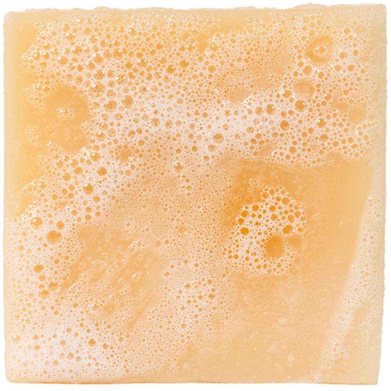 Dr. Squatch - Alpine Sage Men's Natural Bar Soap