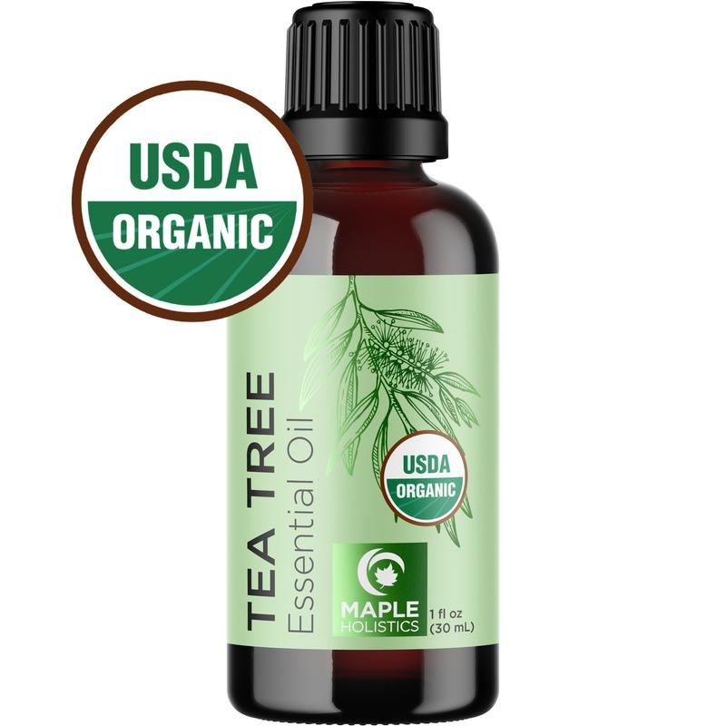 Maple Holistics Organic Tea Tree Essential Oil for Hair Skin & Nails Haircare Nourishing Comfort