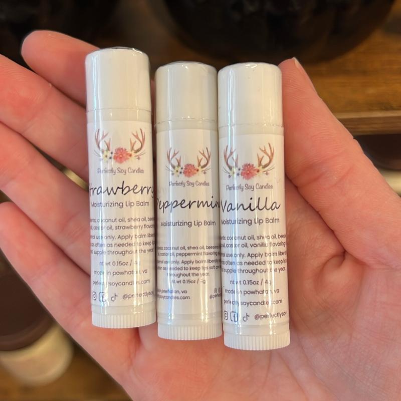 Moisturizing Lip Balm for Soft and Smooth Lips Coconut Oil Skincare Jojoba Pack Shea Soothing Moisturize Hydrating